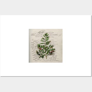 paris scripts kitchen artwork french botanical leaf olive Posters and Art